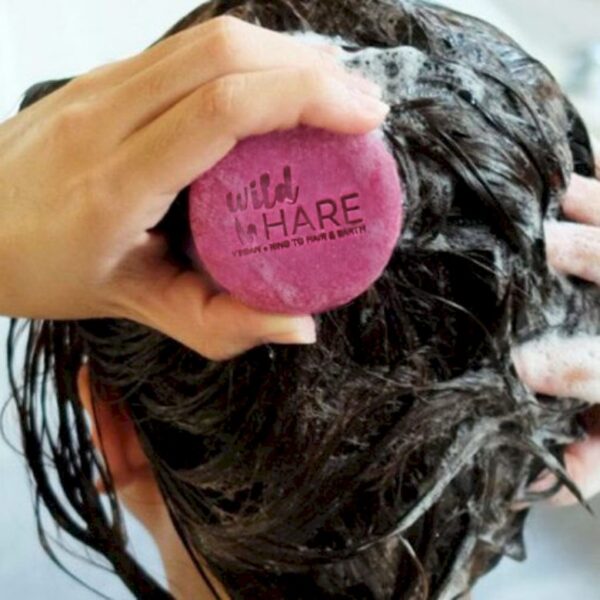 Wild Hare Solid Shampoo & Conditioner