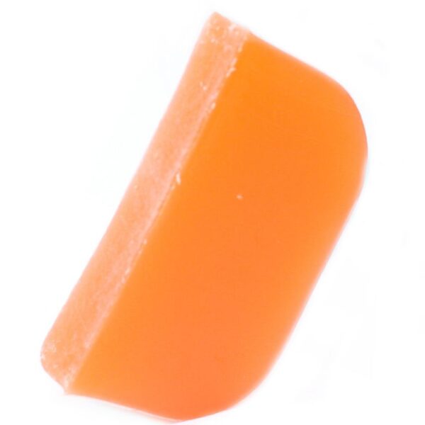 Argan Oil Solid Shampoo Bar - Sage & Juniper