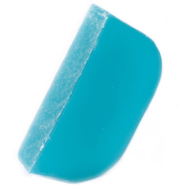 Argan Oil Solid Shampoo Bar - Tea Tree & Peppermint