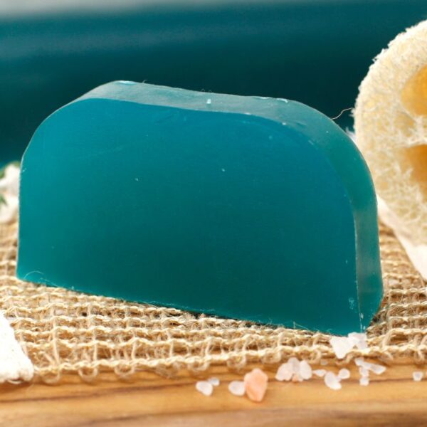 Argan Oil Solid Shampoo Bar - Tea Tree & Peppermint