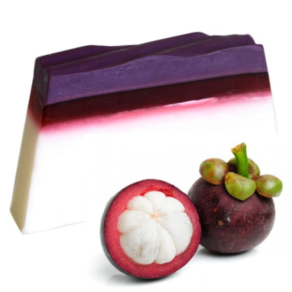 Mangosteen Tropical Paradise Soap Slice