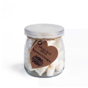 Peppermint & Eucalytus Aroma Wax Melts