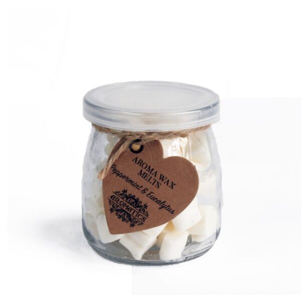 Peppermint & Eucalytus Aroma Wax Melts