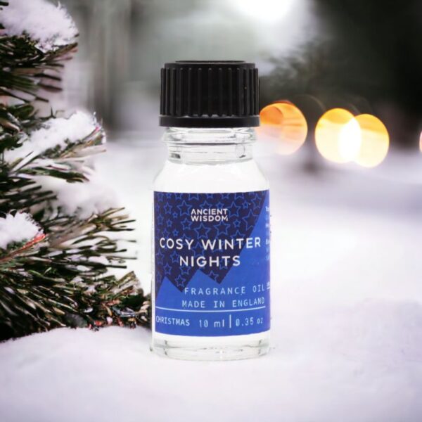 Cosy Winter Nights Fragrance Oil - Image 2