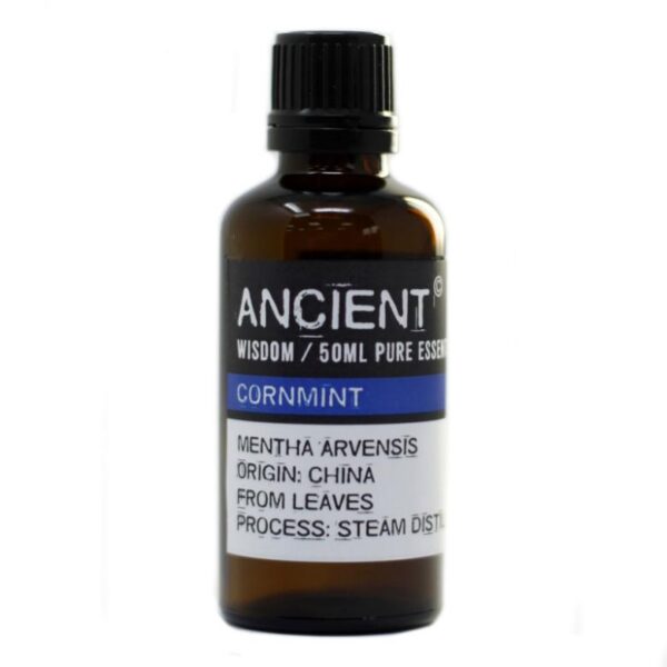 Cornmint Essential Oil - Image 2