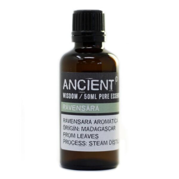 Ravensara Essential Oil - Image 2