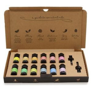Starter Aromatherapy Essential Oil Set