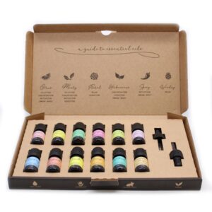 Top 12 Aromatherapy Essential Oil Set