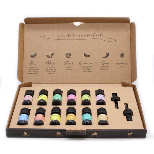Top 12 Aromatherapy Essential Oil Set