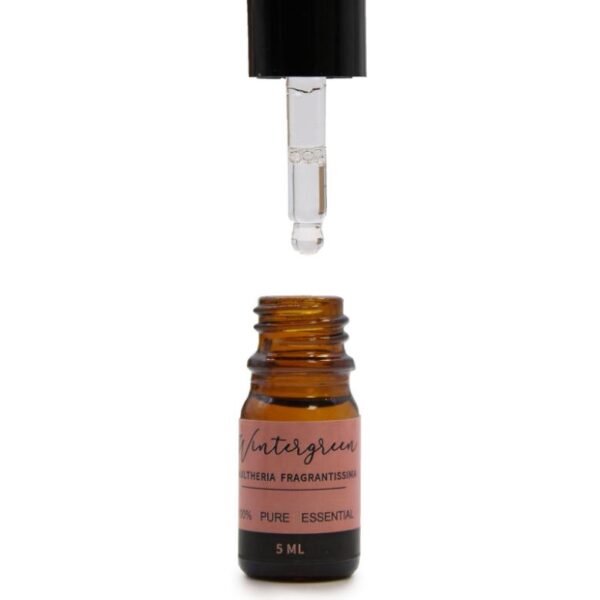 Top 12 Aromatherapy Essential Oil Set - Image 4