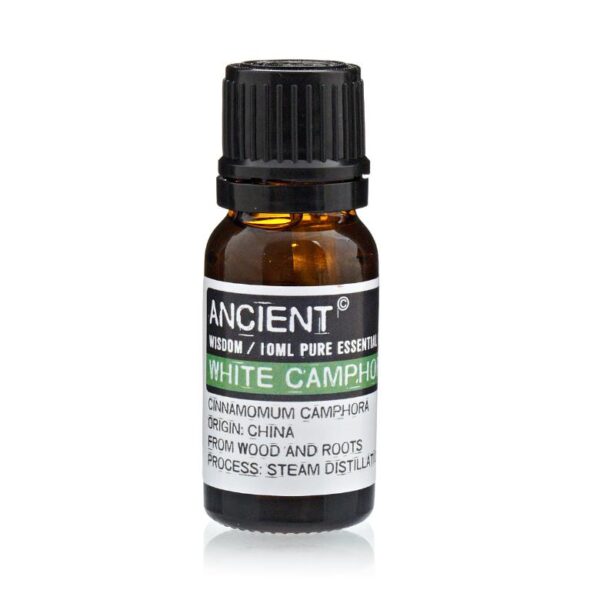 White Camphor Essential Oil