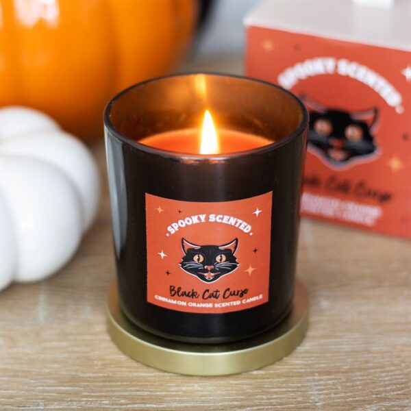 Black Cat Curse Cinnamon Orange Candle - Image 5